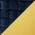 Navy/Gold
