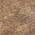 Brown color or pattern variation