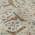 Beige color or pattern variation