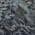 Pewter color or pattern variation