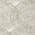 Ivory color or pattern variation