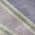 Purple color or pattern variation