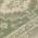 Fern color or pattern variation
