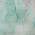 Teal color or pattern variation
