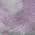 Lavender color or pattern variation