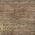 Eggplant color or pattern variation