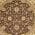 Brown color or pattern variation