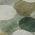Green color or pattern variation