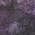 Purple color or pattern variation