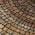 Copper color or pattern variation