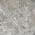 Gray color or pattern variation