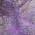 Purple color or pattern variation