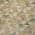 Beige color or pattern variation