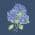 Hydrangea Midnight color or pattern variation