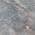 Gray color or pattern variation