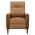 Saddle Brown color or pattern variation
