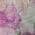 Pink color or pattern variation