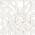 White/Natural color or pattern variation