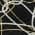 Black color or pattern variation