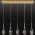 BlackGold 5C-Light color or pattern variation