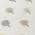 Ivory color or pattern variation