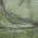 Olive color or pattern variation