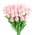 Pink color or pattern variation