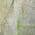Green color or pattern variation