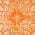 Orange color or pattern variation