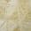 Gold color or pattern variation