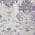 Purple color or pattern variation