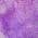 Purple color or pattern variation