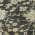 Black color or pattern variation