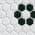 White and Black Floral color or pattern variation