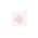 Ivory/Pink color or pattern variation