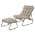Champagne Gray color or pattern variation