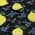 Black color or pattern variation