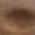 Brown color or pattern variation