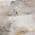 Khaki color or pattern variation