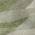 Green color or pattern variation