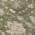 Olive color or pattern variation