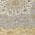 Gold color or pattern variation