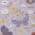 Lavender color or pattern variation