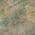 Green color or pattern variation