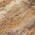 Brown color or pattern variation