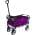 Purple color or pattern variation