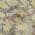 Wheat color or pattern variation