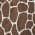 Coffee color or pattern variation
