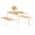Beige color or pattern variation