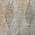 Beige color or pattern variation